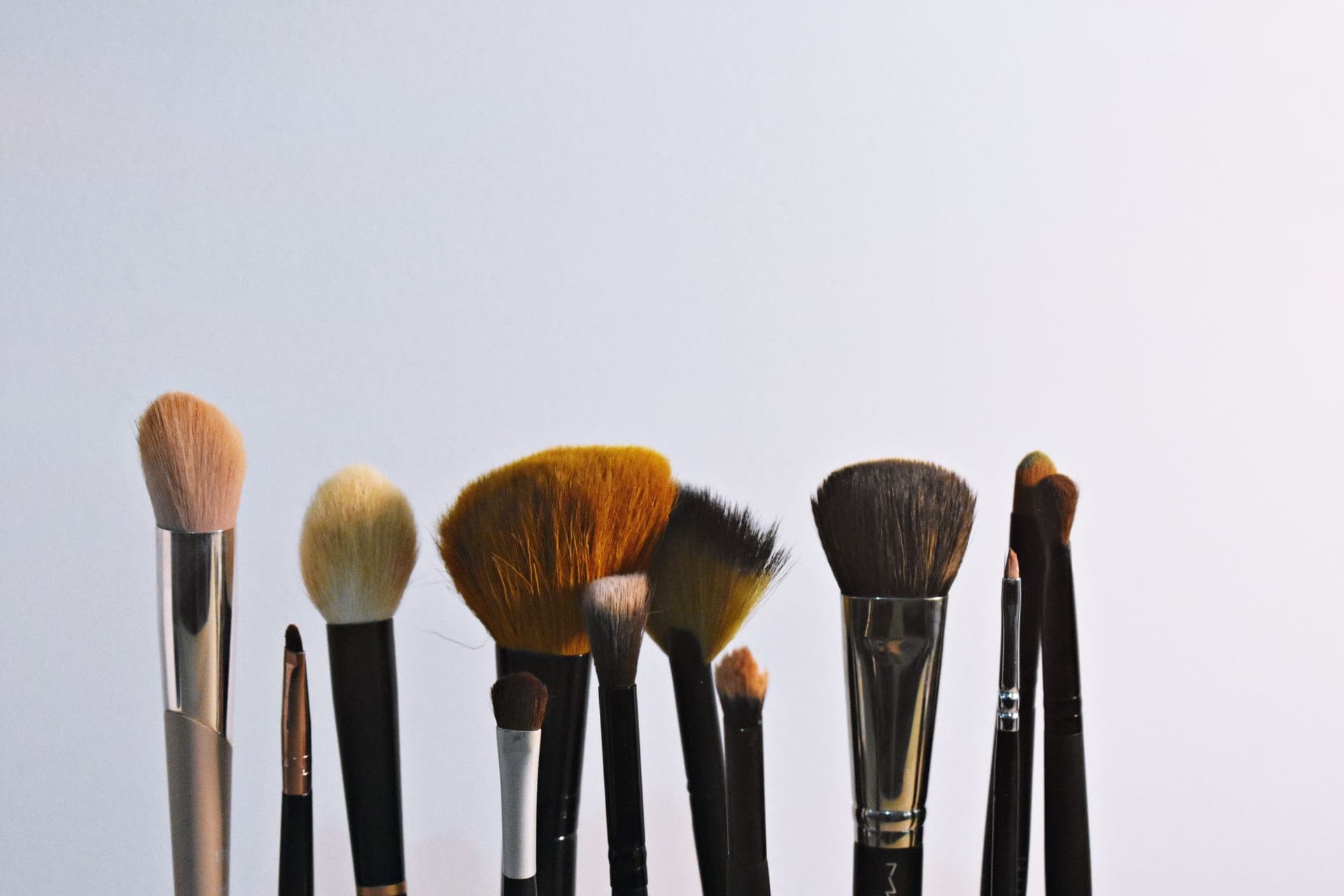 A set of makeup brushes arranged upright against a plain backdrop